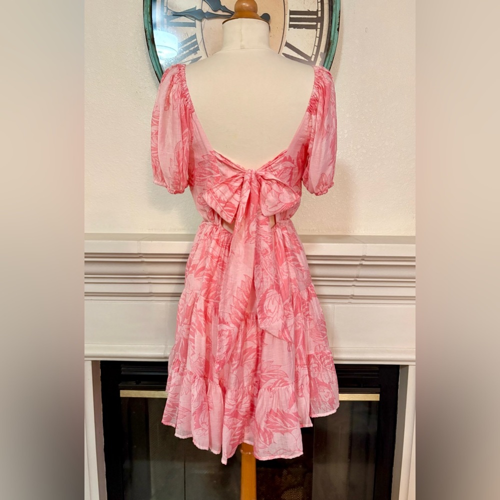 1. State Pink Floral Mini Dress - Picture 4 of 11